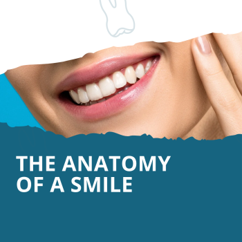 Calgary, Alberta dentist, Dr. Crawford of Calgary Dental House, shares all about the anatomy of your mouth and how it all works for your benefit.